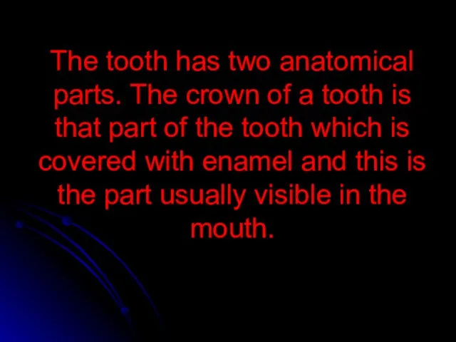 The tooth has two anatomical parts. The crown of a tooth is