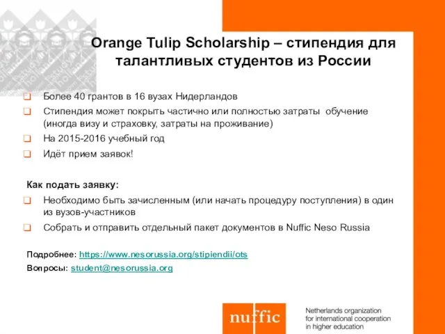 Orange Tulip Scholarship – стипендия для талантливых студентов из России Более 40