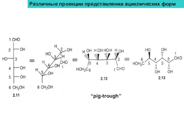 Различные проекции представления ациклических форм “pig-trough”