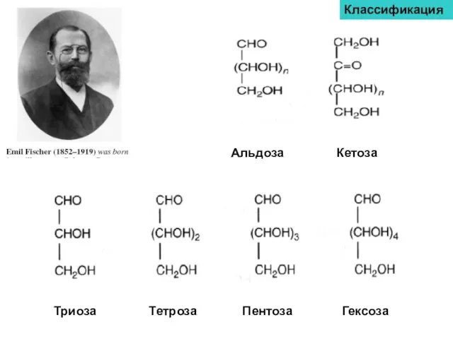 Альдоза Кетоза Триоза Тетроза Пентоза Гексоза Классификация