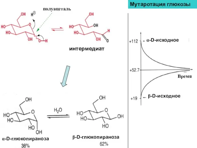 Мутаротация глюкозы интермедиат α-D-глюкопираноза β-D-глюкопираноза α-D-исходное β-D-исходное Время полуацеталь