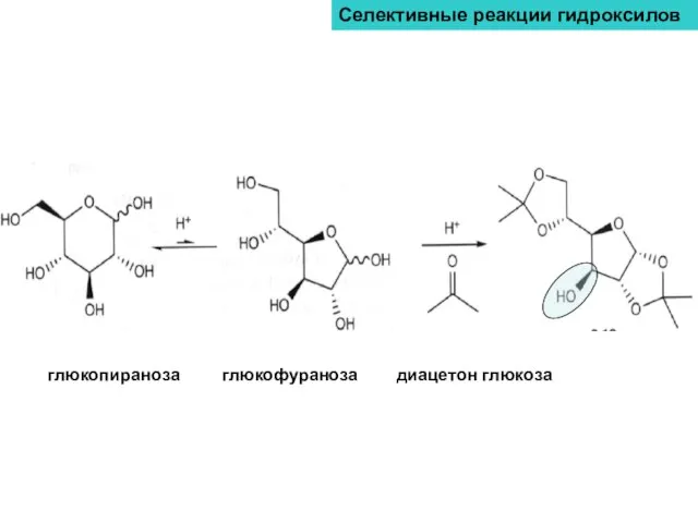Селективные реакции гидроксилов глюкопираноза глюкофураноза диацетон глюкоза