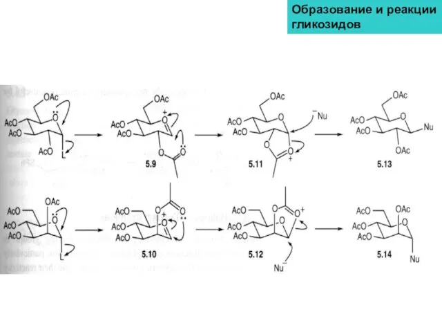 Образование и реакции гликозидов