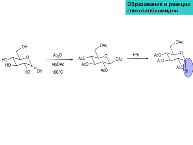 Образование и реакции гликозилбромидов