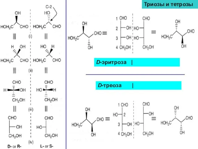 D-эритроза | D-треоза | Триозы и тетрозы