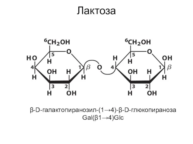 Лактоза β-D-галактопиранозил-(1→4)-β-D-глюкопираноза Gal(β1→4)Glc