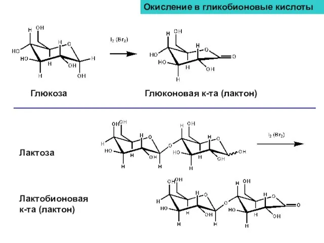 Окисление в гликобионовые кислоты Глюкоза Глюконовая к-та (лактон) Лактоза Лактобионовая к-та (лактон)