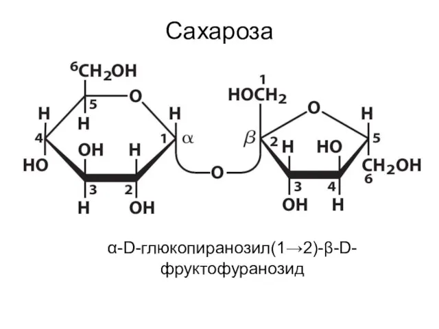 Сахароза α-D-глюкопиранозил(1→2)-β-D-фруктофуранозид