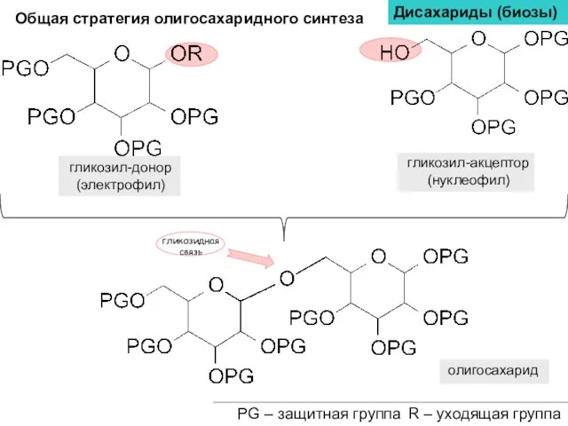 Дисахариды (биозы) Общая стратегия олигосахаридного синтеза PG – защитная группа R – уходящая группа гликозидная связь