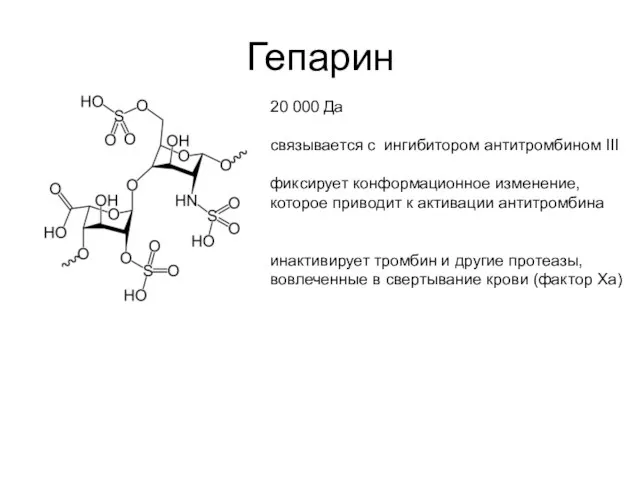 Гепарин 20 000 Да связывается с ингибитором антитромбином III фиксирует конформационное изменение,