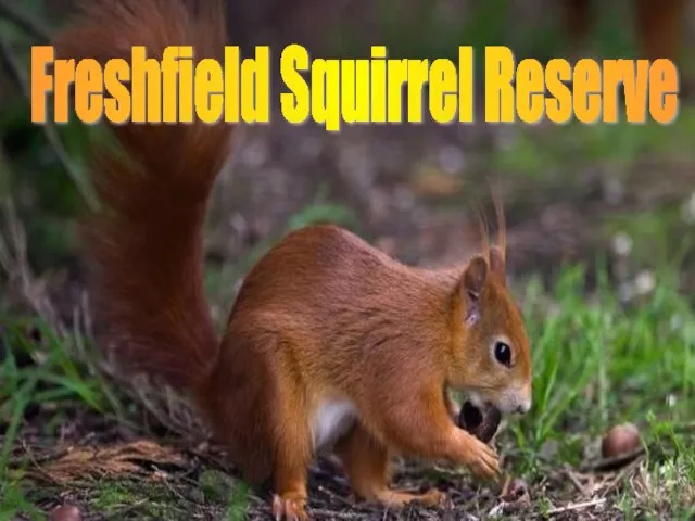 Freshfield Squirrel Reserve