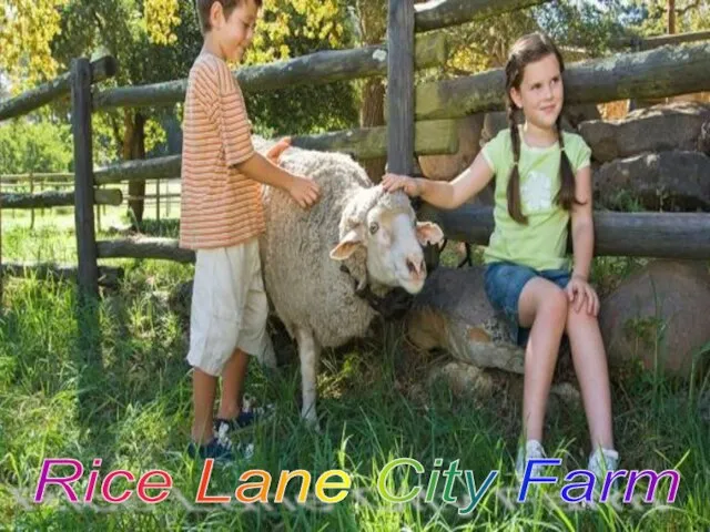 Rice Lane City Farm