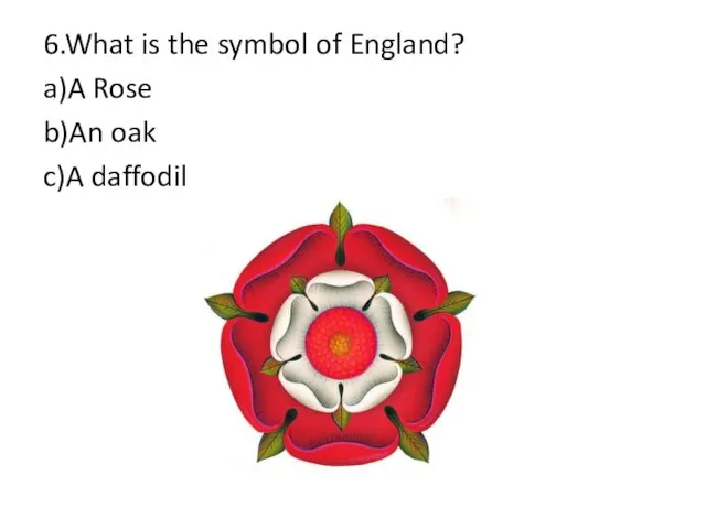 6.What is the symbol of England? a)A Rose b)An oak c)A daffodil