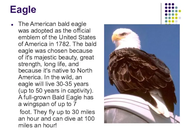 Eagle The American bald eagle was adopted as the official emblem of