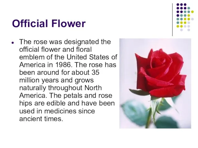 Official Flower The rose was designated the official flower and floral emblem