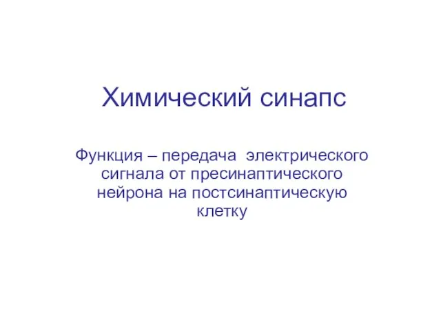 Химический синапс Функция – передача электрического сигнала от пресинаптического нейрона на постсинаптическую клетку