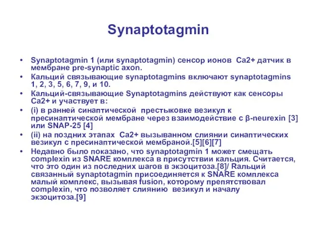 Synaptotagmin Synaptotagmin 1 (или synaptotagmin) сенсор ионов Ca2+ датчик в мембране pre-synaptic