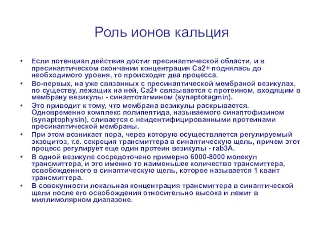 Роль ионов кальция Если потенциал действия достиг пресинаптической области, и в пресинаптическом