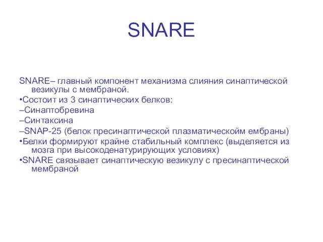 SNARE SNARE– главный компонент механизма слияния синаптической везикулы с мембраной. •Состоит из