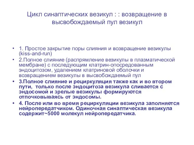 Цикл синаптических везикул : : возвращение в высвобождаемый пул везикул 1. Простое