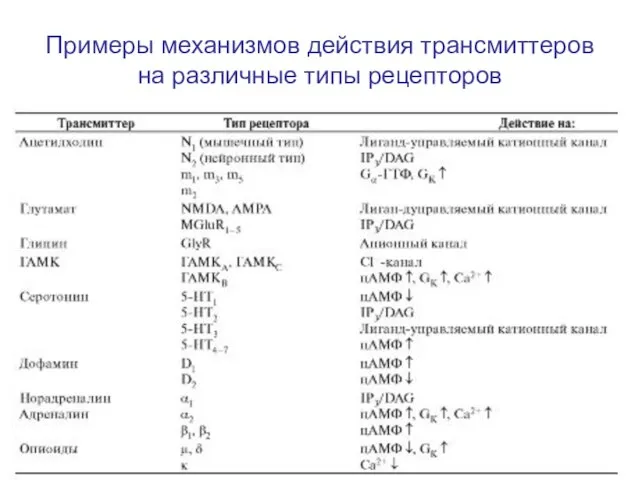 Примеры механизмов действия трансмиттеров на различные типы рецепторов