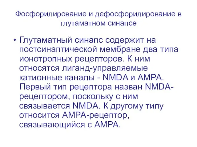 Фосфорилирование и дефосфорилирование в глутаматном синапсе Глутаматный синапс содержит на постсинаптической мембране