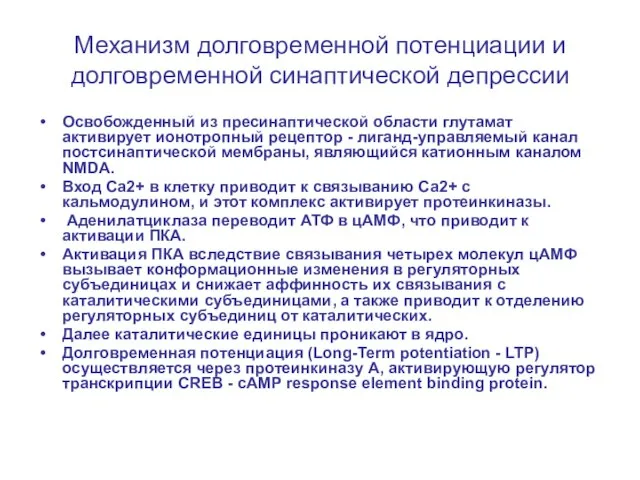 Механизм долговременной потенциации и долговременной синаптической депрессии Освобожденный из пресинаптической области глутамат