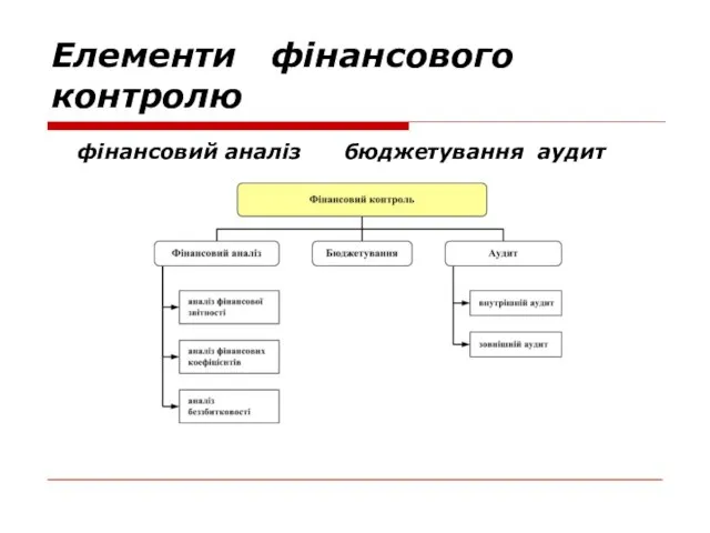 Елементи фінансового контролю фінансовий аналіз бюджетування аудит