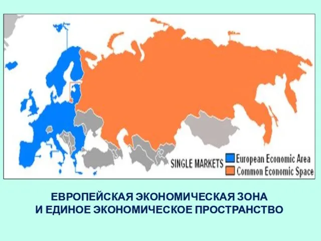 ЕВРОПЕЙСКАЯ ЭКОНОМИЧЕСКАЯ ЗОНА И ЕДИНОЕ ЭКОНОМИЧЕСКОЕ ПРОСТРАНСТВО