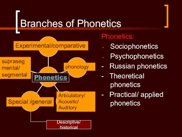 Branches of Phonetics Phonetics: Sociophonetics Psychophonetics - Russian phonetics - Theoretical phonetics