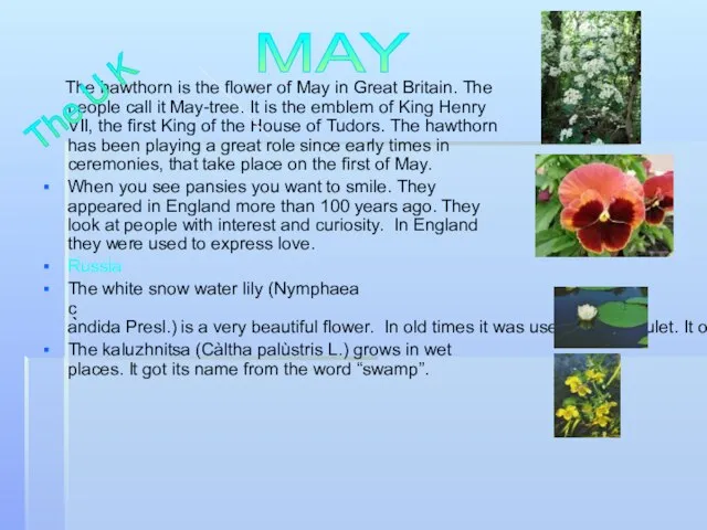 The hawthorn is the flower of May in Great Britain. The people