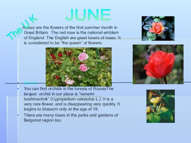 Roses are the flowers of the first summer month in Great Britain.