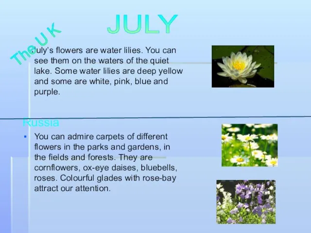 July’s flowers are water lilies. You can see them on the waters