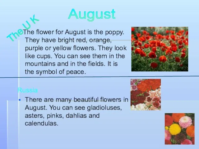 The flower for August is the poppy. They have bright red, orange,