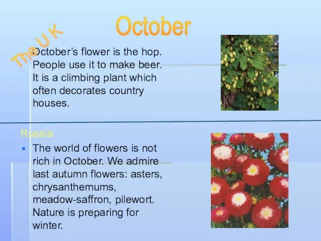 October’s flower is the hop. People use it to make beer. It