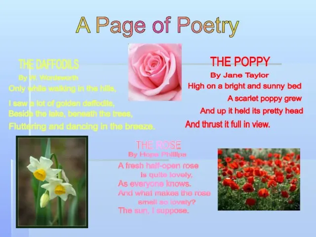 A Page of Poetry THE DAFFODILS By W. Wordsworth Only while walking