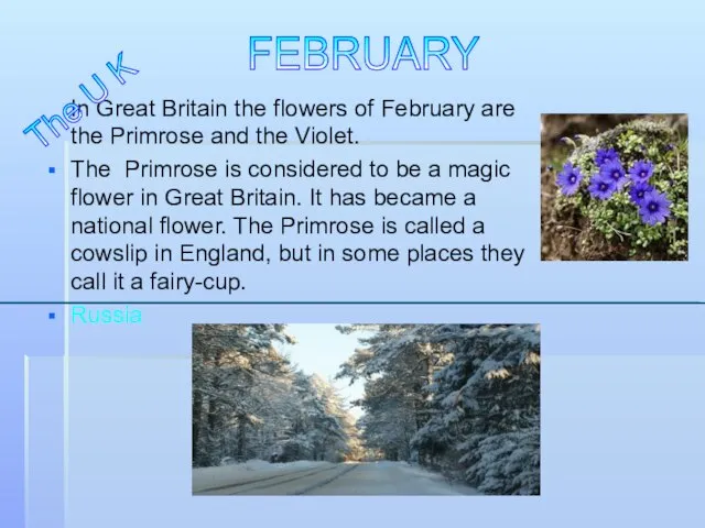 In Great Britain the flowers of February are the Primrose and the
