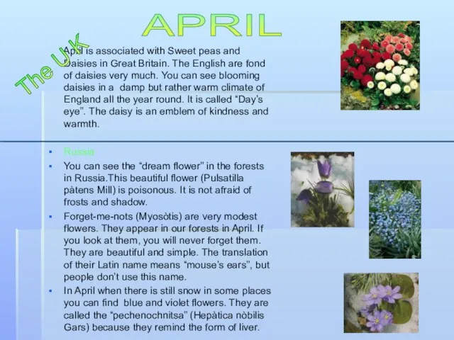 April is associated with Sweet peas and Daisies in Great Britain. The