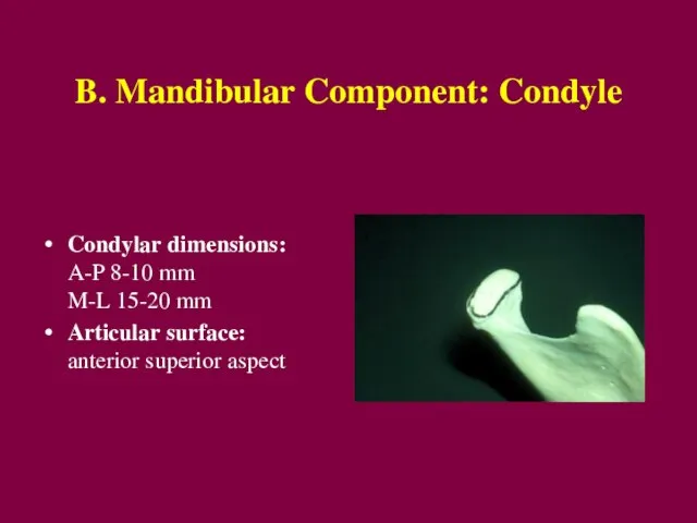 B. Mandibular Component: Condyle Condylar dimensions: A-P 8-10 mm M-L 15-20 mm