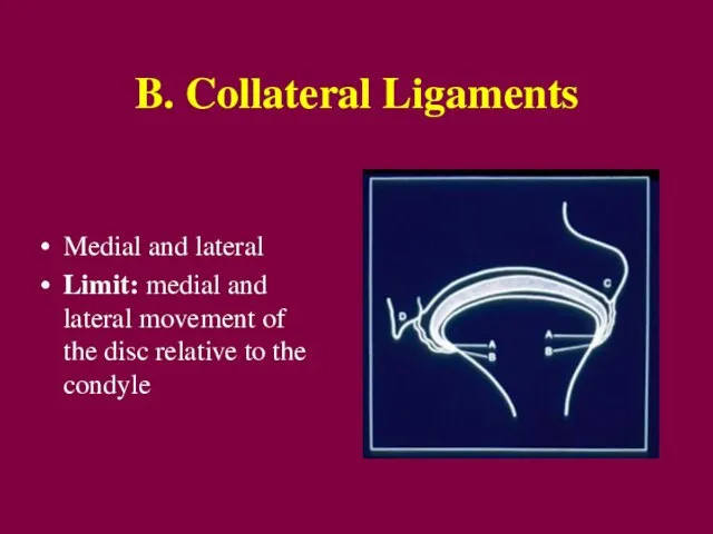 B. Collateral Ligaments Medial and lateral Limit: medial and lateral movement of