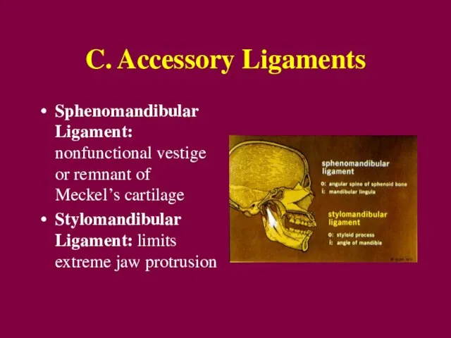 C. Accessory Ligaments Sphenomandibular Ligament: nonfunctional vestige or remnant of Meckel’s cartilage