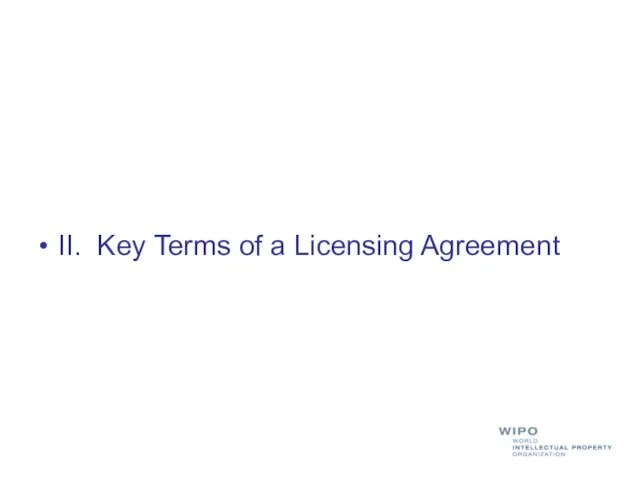 II. Key Terms of a Licensing Agreement