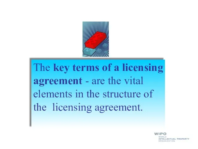 The key terms of a licensing agreement - are the vital elements