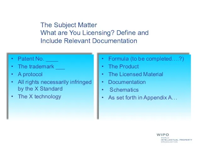 The Subject Matter What are You Licensing? Define and Include Relevant Documentation