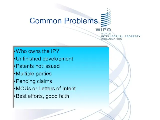 Common Problems Who owns the IP? Unfinished development Patents not issued Multiple