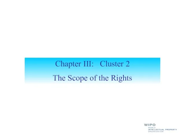 Chapter III: Cluster 2 The Scope of the Rights