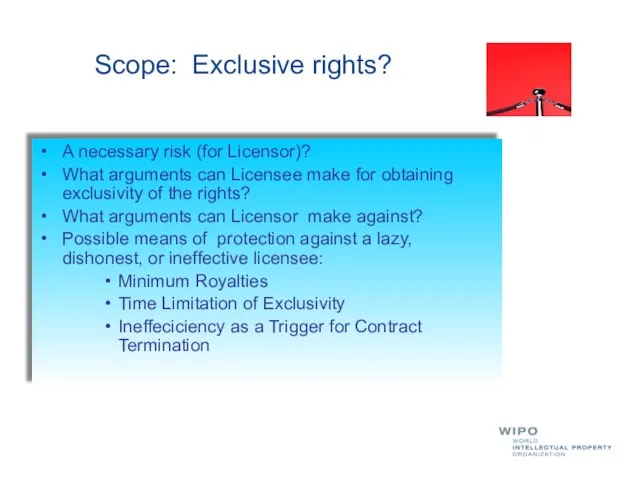 Scope: Exclusive rights? A necessary risk (for Licensor)? What arguments can Licensee