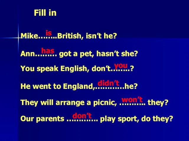 Fill in Mike……..British, isn’t he? Ann……… got a pet, hasn’t she? You