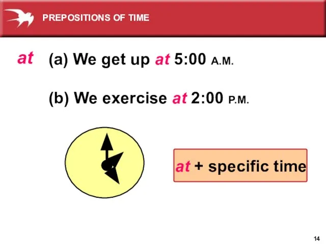 (a) We get up at 5:00 A.M. (b) We exercise at 2:00