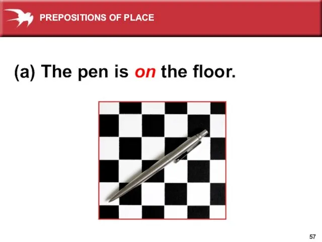 (a) The pen is on the floor. PREPOSITIONS OF PLACE